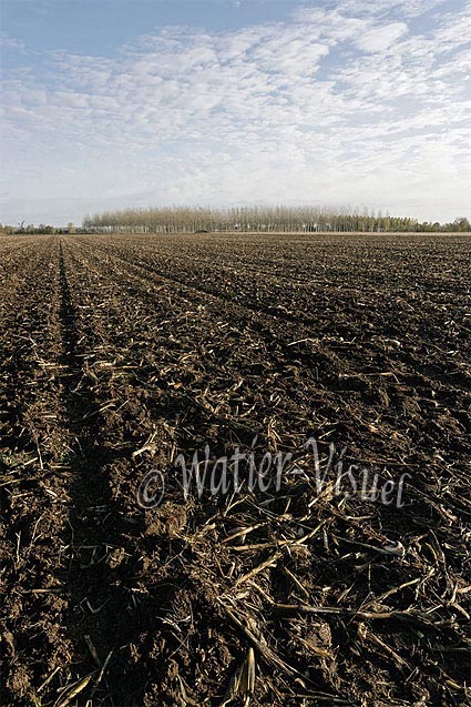 0631D139