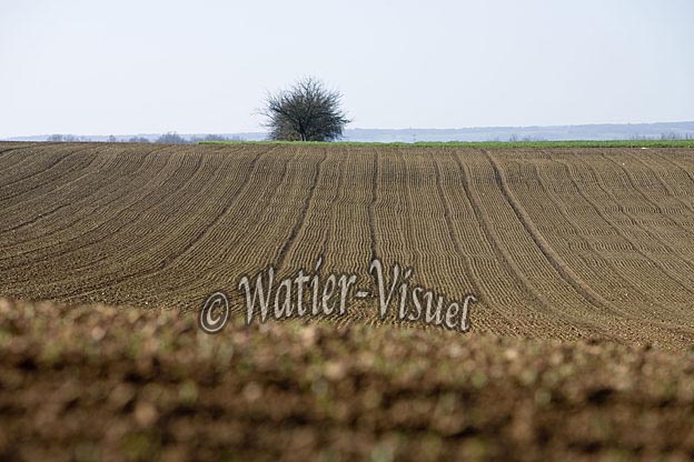 0651D029