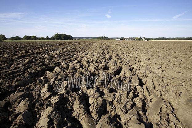 0761D208