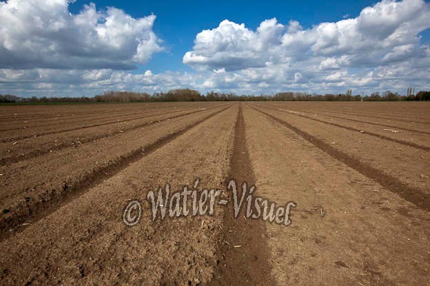 0943D788
