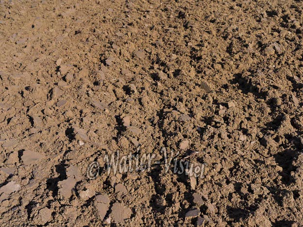 0984D405