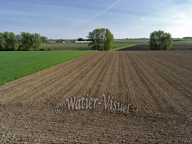 0991D063