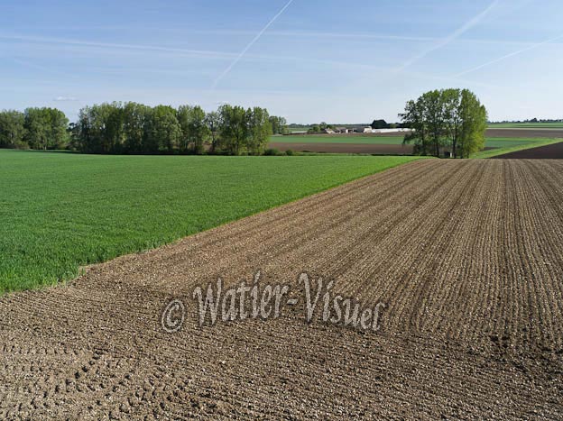 0991D067