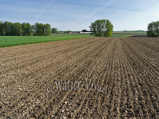 0991D068