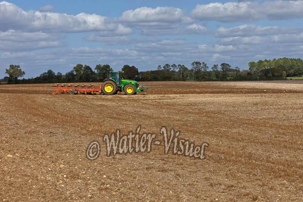 1017D954