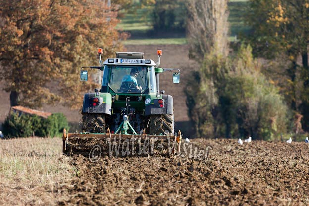 1020D950