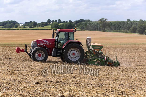 1038D250