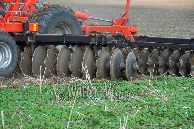 1063D349