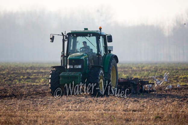 1077D450