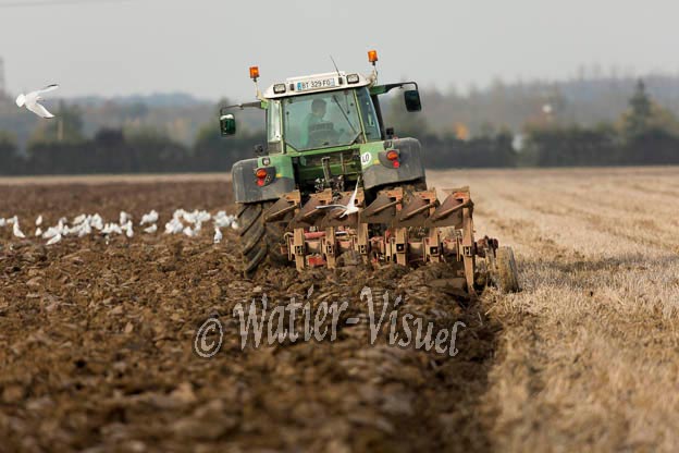 1078D250