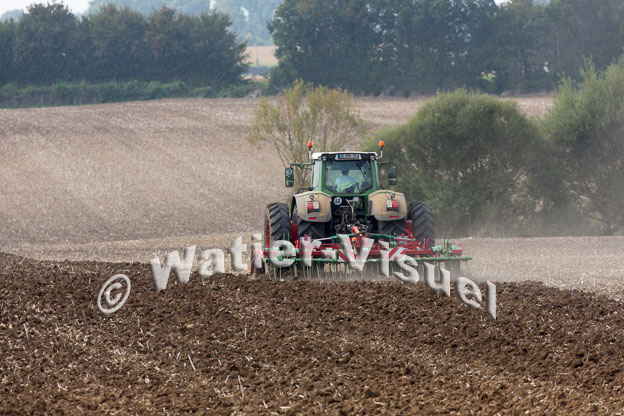 1099D310