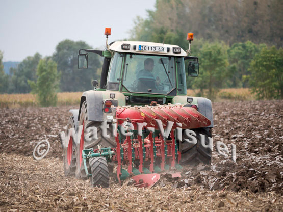 1101D536