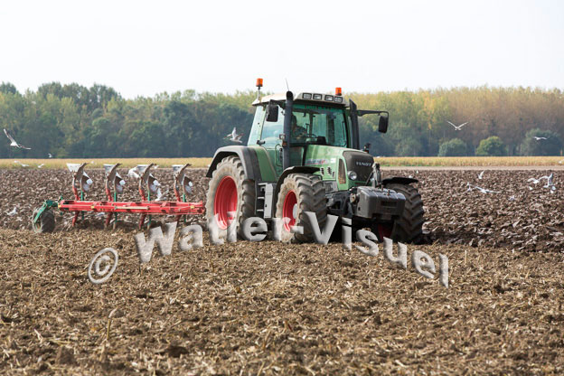 1101D567