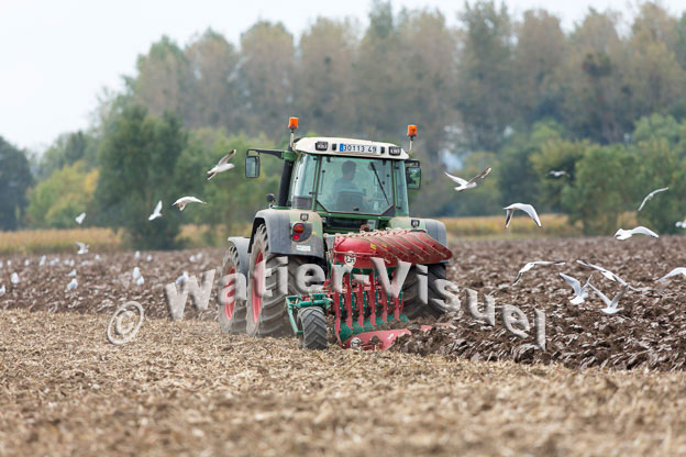 1101D590