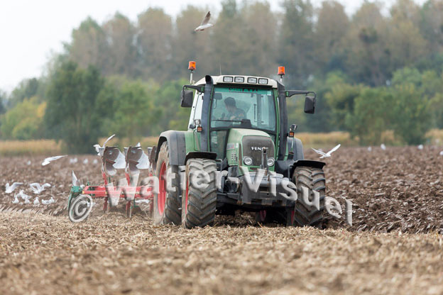 1101D602