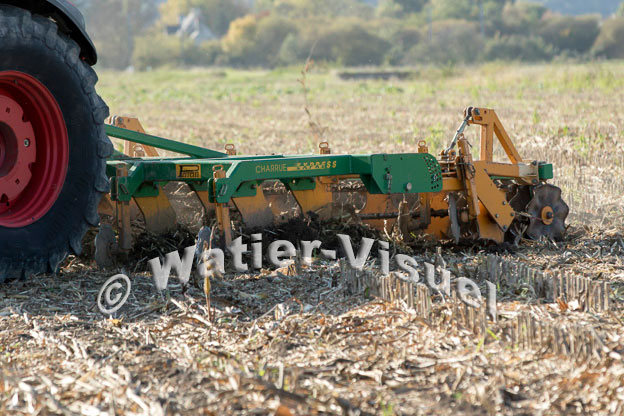 1105D297