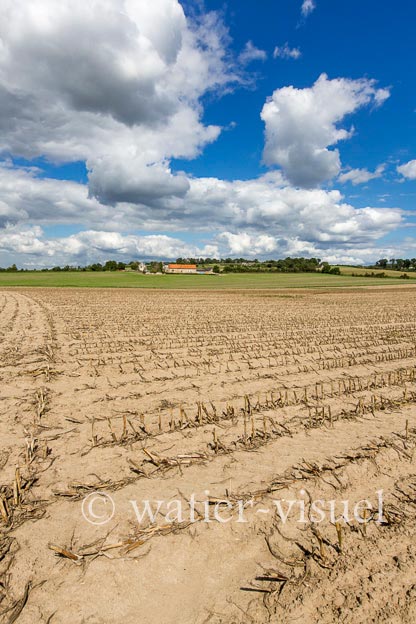 1128D865