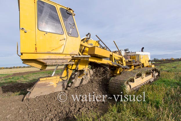 1129D794