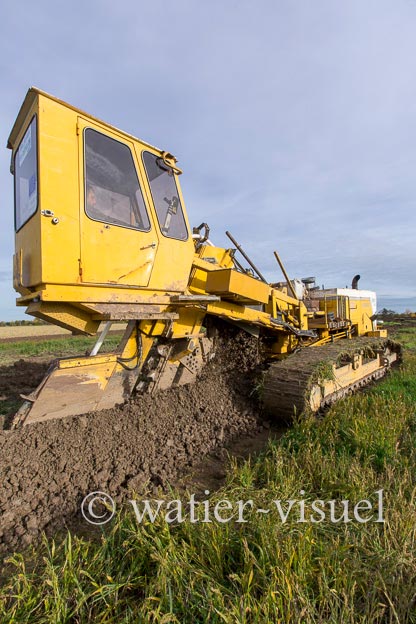 1129D795