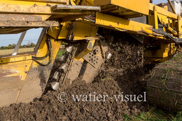 1129D796