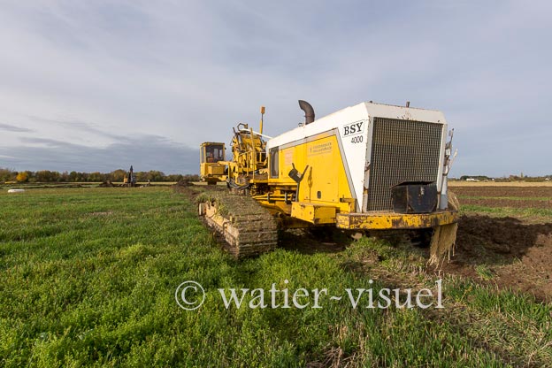 1129D805
