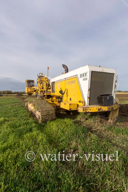1129D806