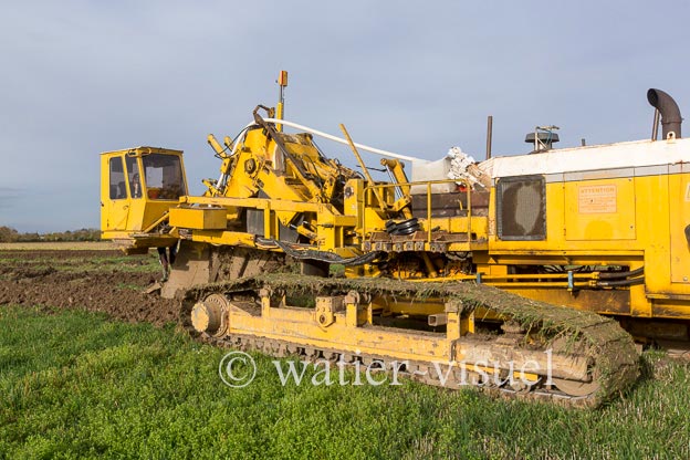 1129D807