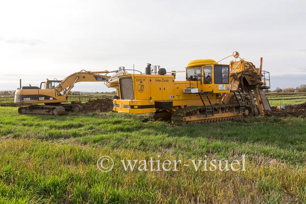 1129D809