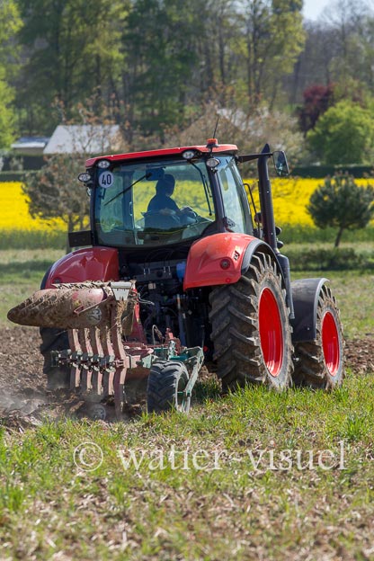 1140D113