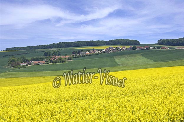 0661D336