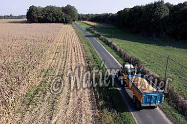 0508D244