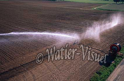 2814618