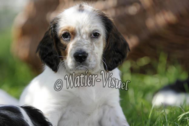 0767D179