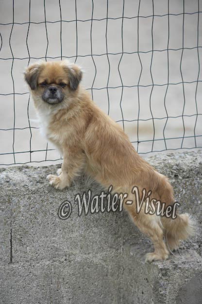 0790D036