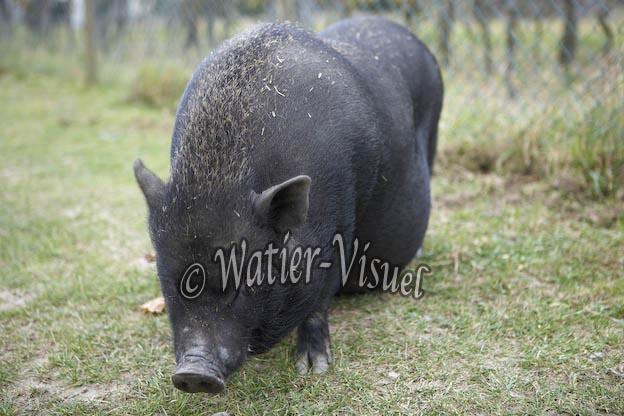 0790D041