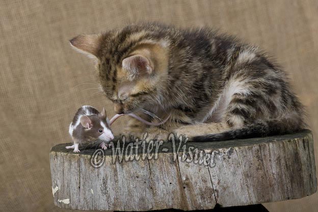 0874D166