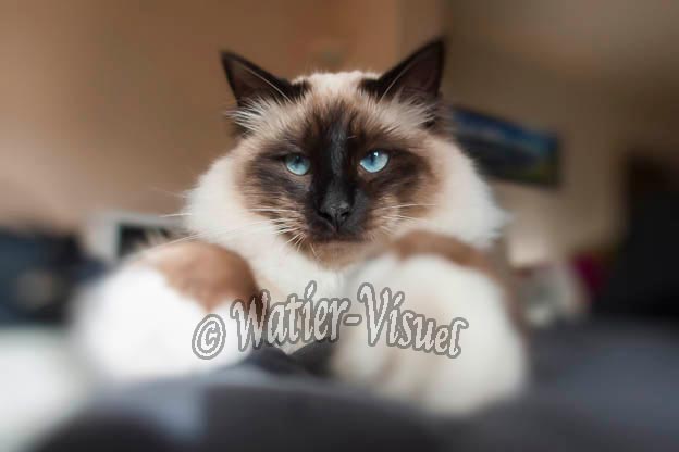 1075D385