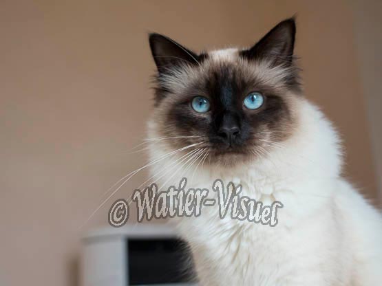 1079D391