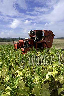 0612D034