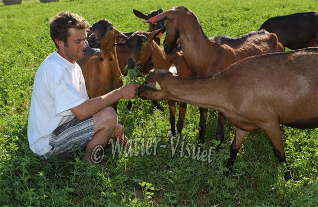 0283D007