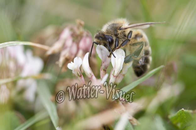 0853D151