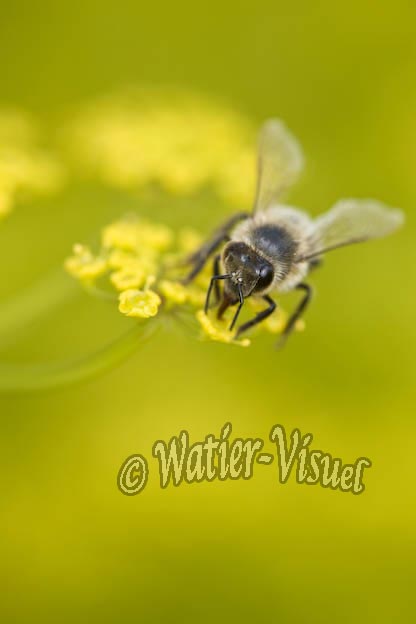 0853D188