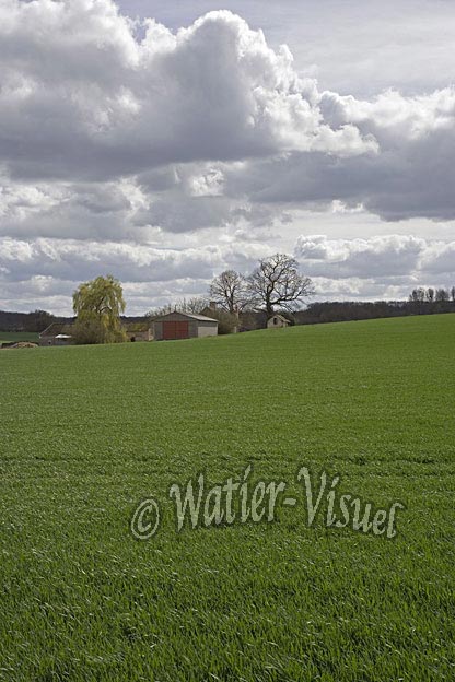 0649D133
