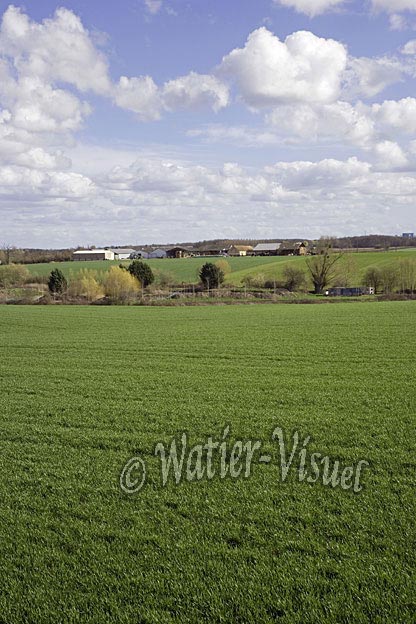0649D155