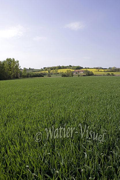 0656D061