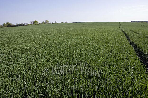 0656D065