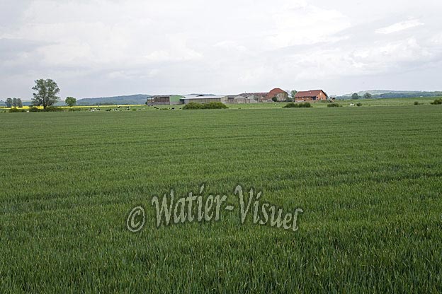 0659D056