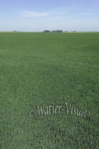 0763D080