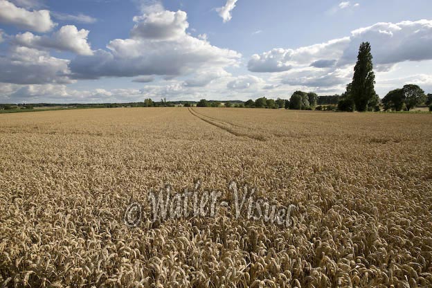 0852D320
