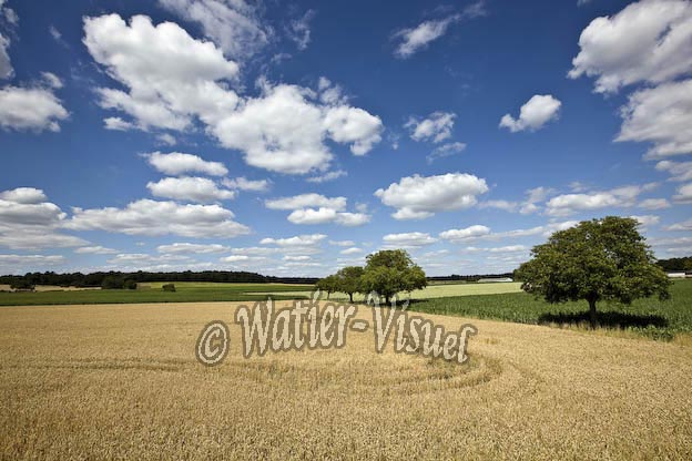 0876D607